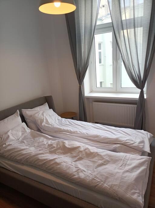 Nettuno Dowborczykow Lägenhet Łódź Exteriör bild